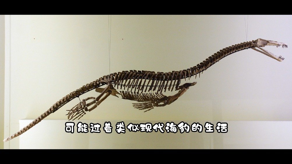 《邢立达老师告诉你 每天一点恐龙小知识》第21集 幻龙