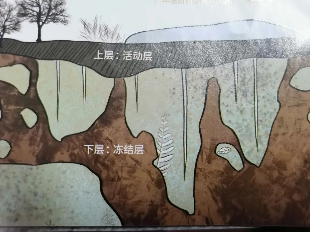 【新微专题】冰土地区的热溶地貌与热溶湖形成|答案_新浪新闻