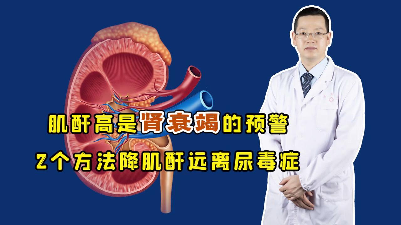 肌酐高,肾衰竭的危险"预警"!2个妙招自然降肌酐,远离尿毒症