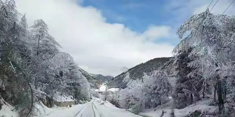 重庆明起至大年初三，低温+雨雪+冰冻