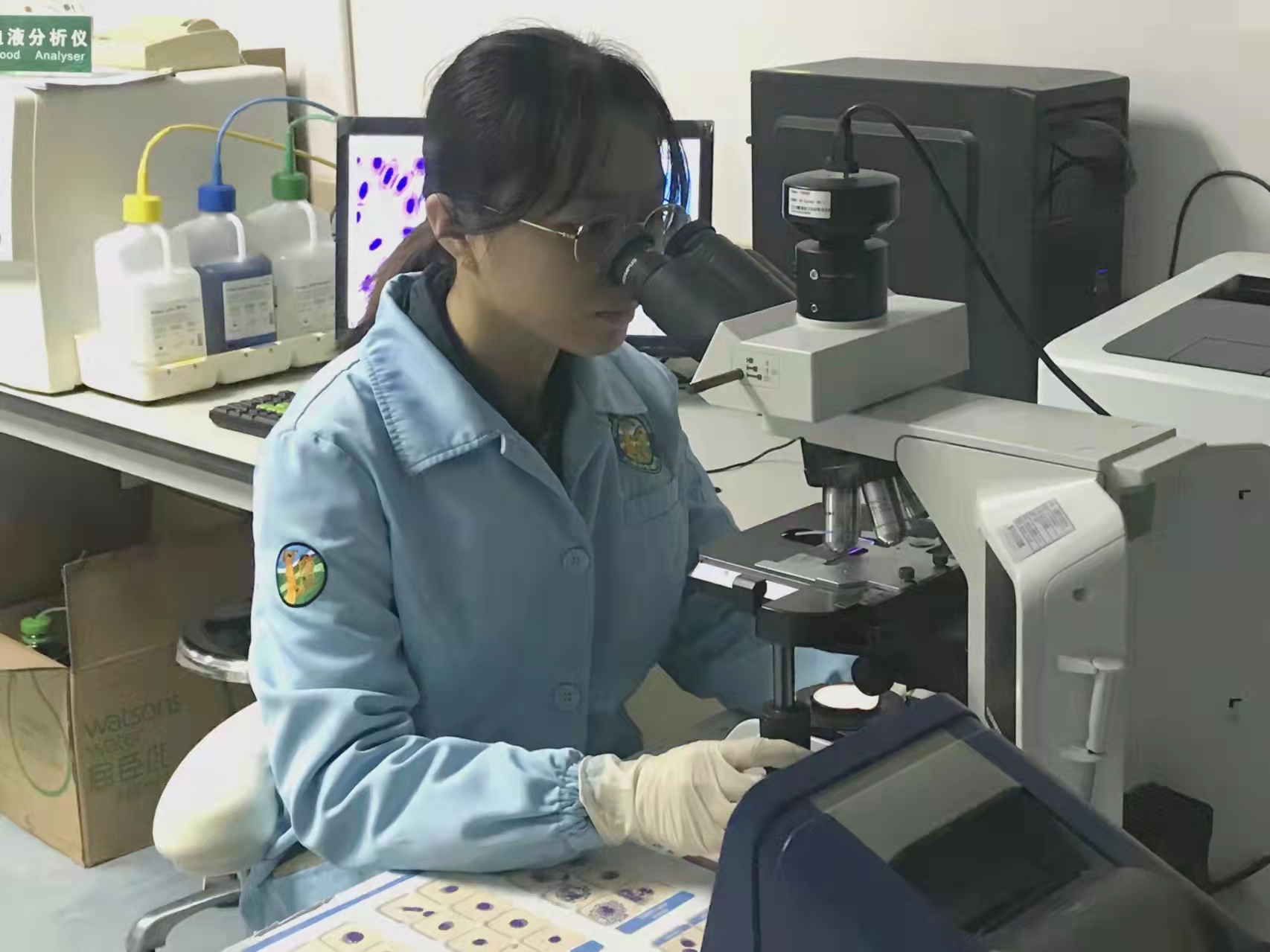 工作中的黄晓茜.