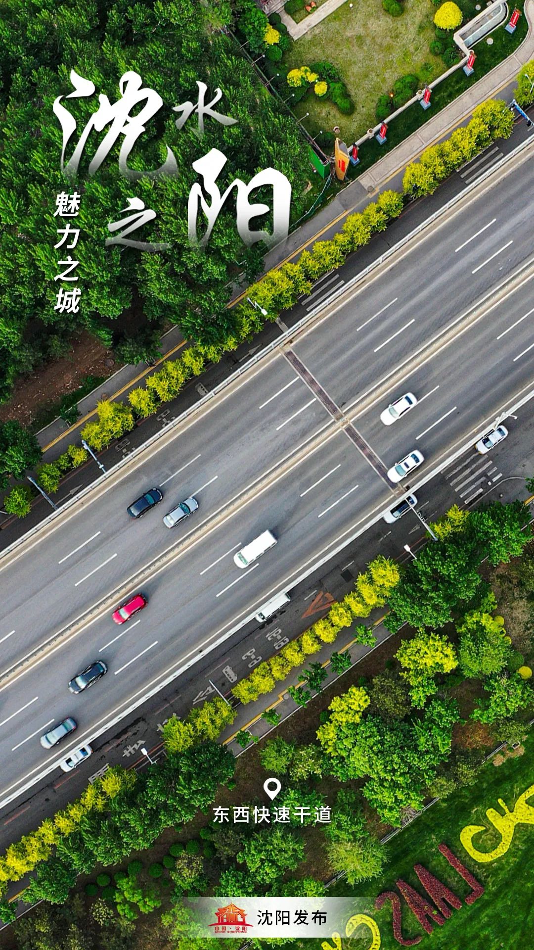 刚刚，新增1例新冠肺炎确诊病例在沈行程轨迹公布！休闲区蓝鸢梦想 - Www.slyday.coM