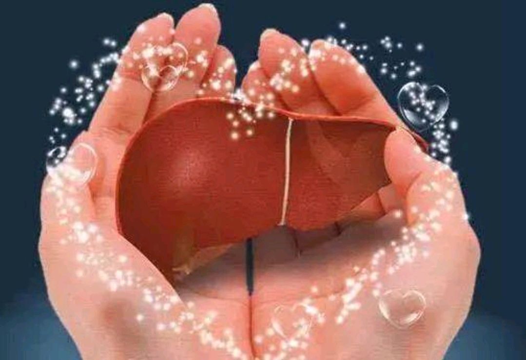 脂肪肝是怎么来的?3个脂肪肝的来源,希望能提前了解一下休闲区蓝鸢梦想 - Www.slyday.coM 脂肪肝是怎么来的?3个脂肪肝的来源,希望能提前了解一下休闲区蓝鸢梦想 - Www.slyday.coM