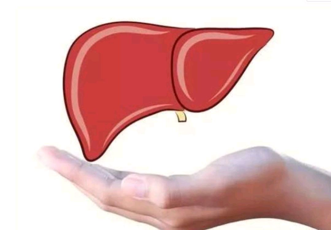 脂肪肝是怎么来的?3个脂肪肝的来源,希望能提前了解一下休闲区蓝鸢梦想 - Www.slyday.coM 脂肪肝是怎么来的?3个脂肪肝的来源,希望能提前了解一下休闲区蓝鸢梦想 - Www.slyday.coM