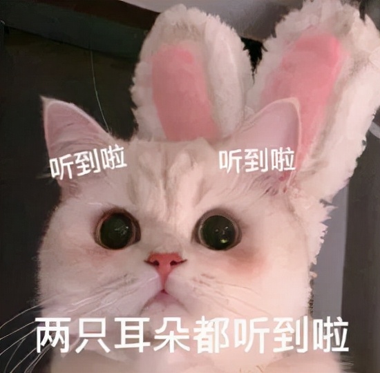 小霸宠又摊上事儿了晒户口本证实自己未婚