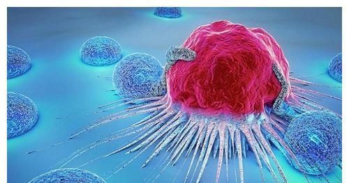 为何吃猪油的人越来越少?难道猪油真的会致癌吗?现在知道还不晚休闲区蓝鸢梦想 - Www.slyday.coM 为何吃猪油的人越来越少?难道猪油真的会致癌吗?现在知道还不晚休闲区蓝鸢梦想 - Www.slyday.coM