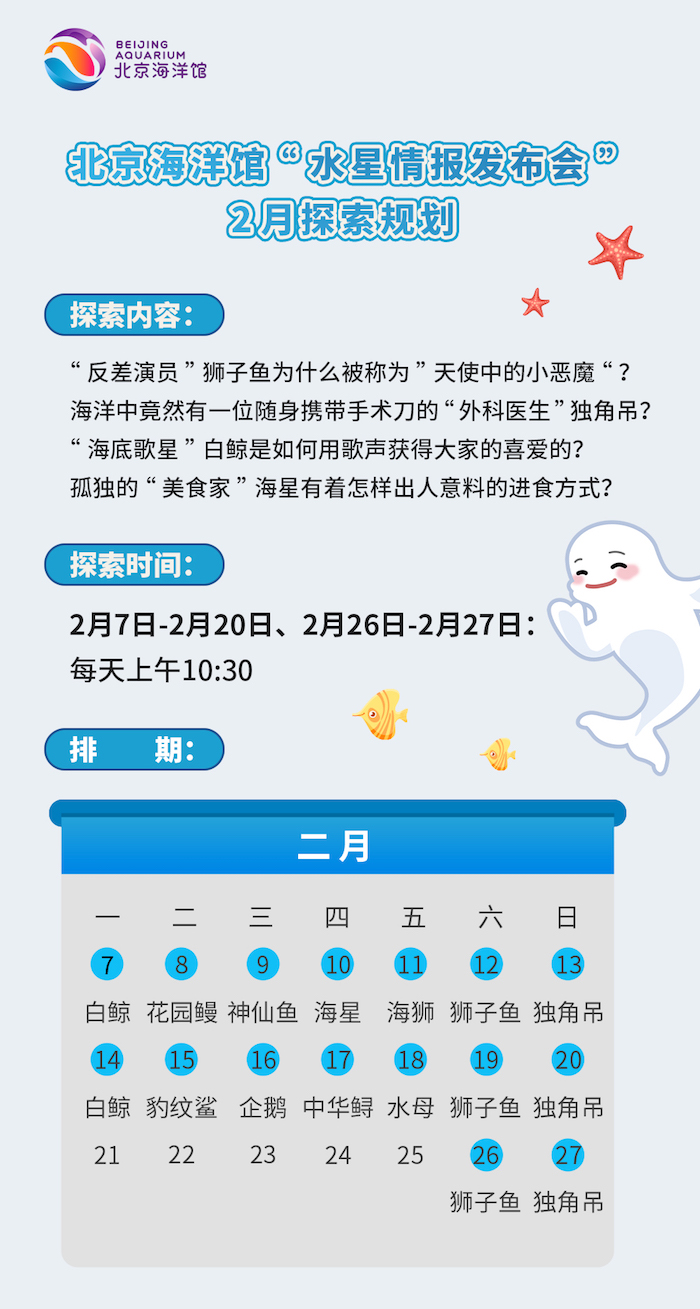 北京海洋馆推出“一日饲养员体验营”，春节还可线上“云”逛馆休闲区蓝鸢梦想 - Www.slyday.coM