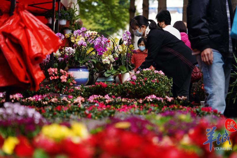 图集新春走基层年味渐浓广州街坊忙逛花市