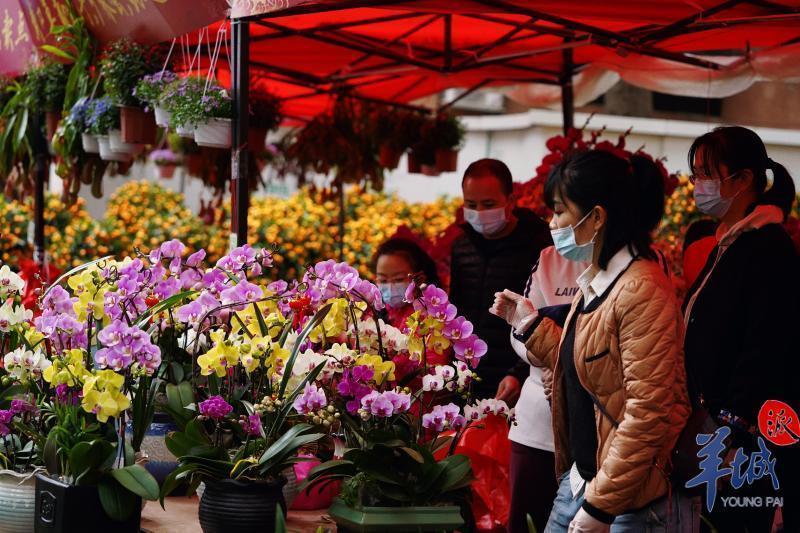 图集新春走基层年味渐浓广州街坊忙逛花市