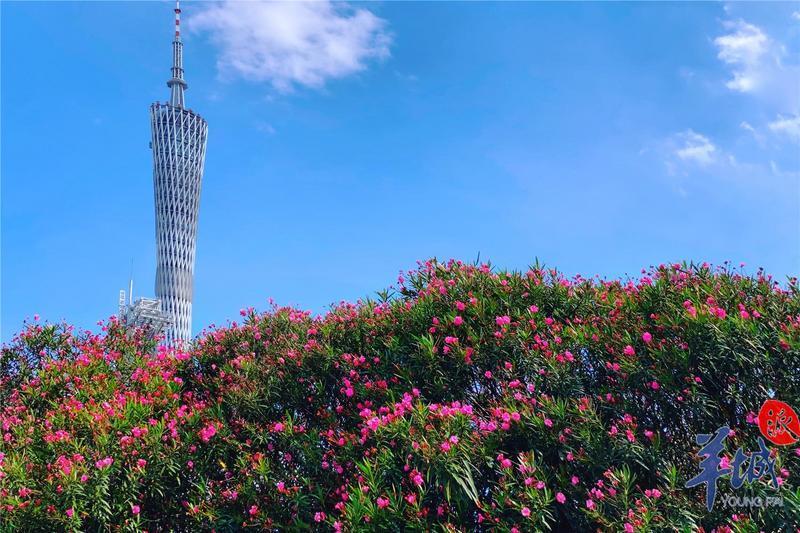 守护“广州蓝”，春节一起拒绝燃放烟花爆竹！休闲区蓝鸢梦想 - Www.slyday.coM