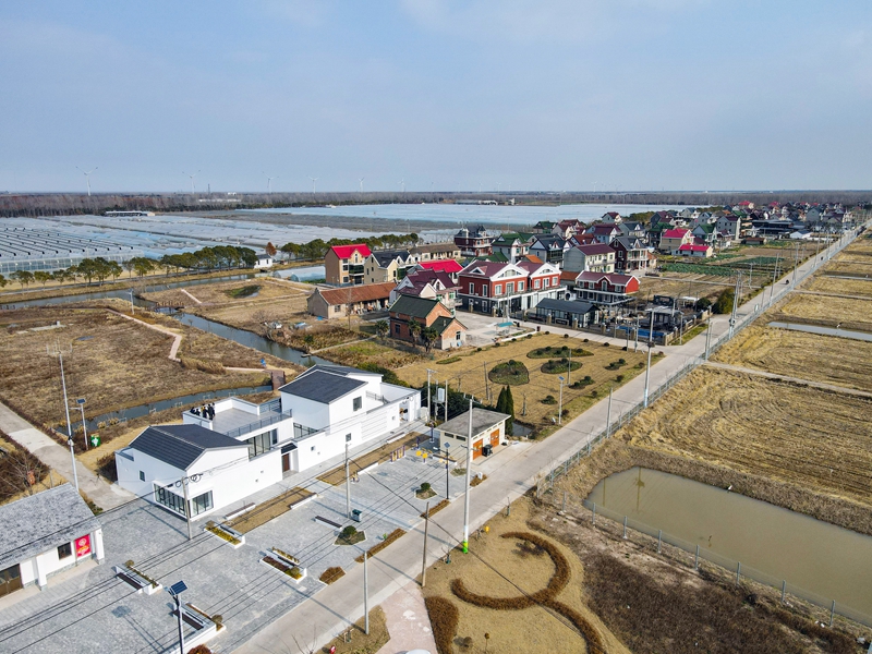 申遗引领社区共建,崇明乡村生态产业的新机遇