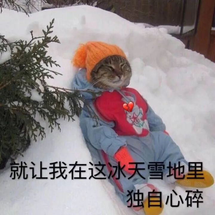 预警升级！大到暴雪休闲区蓝鸢梦想 - Www.slyday.coM