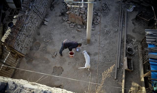 河北邯郸失联十三岁男孩找到了，家属无法接受，他死于四只恶犬休闲区蓝鸢梦想 - Www.slyday.coM