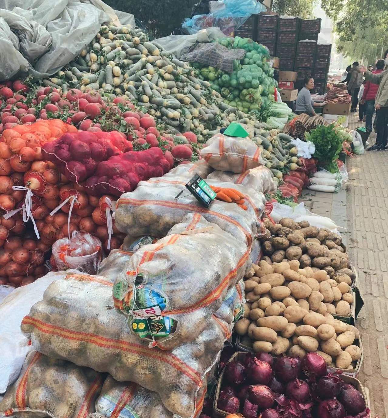 南北过年姿势大赏,囤年货的区别大吗?