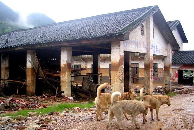 河北邯郸失联十三岁男孩找到了，家属无法接受，他死于四只恶犬休闲区蓝鸢梦想 - Www.slyday.coM