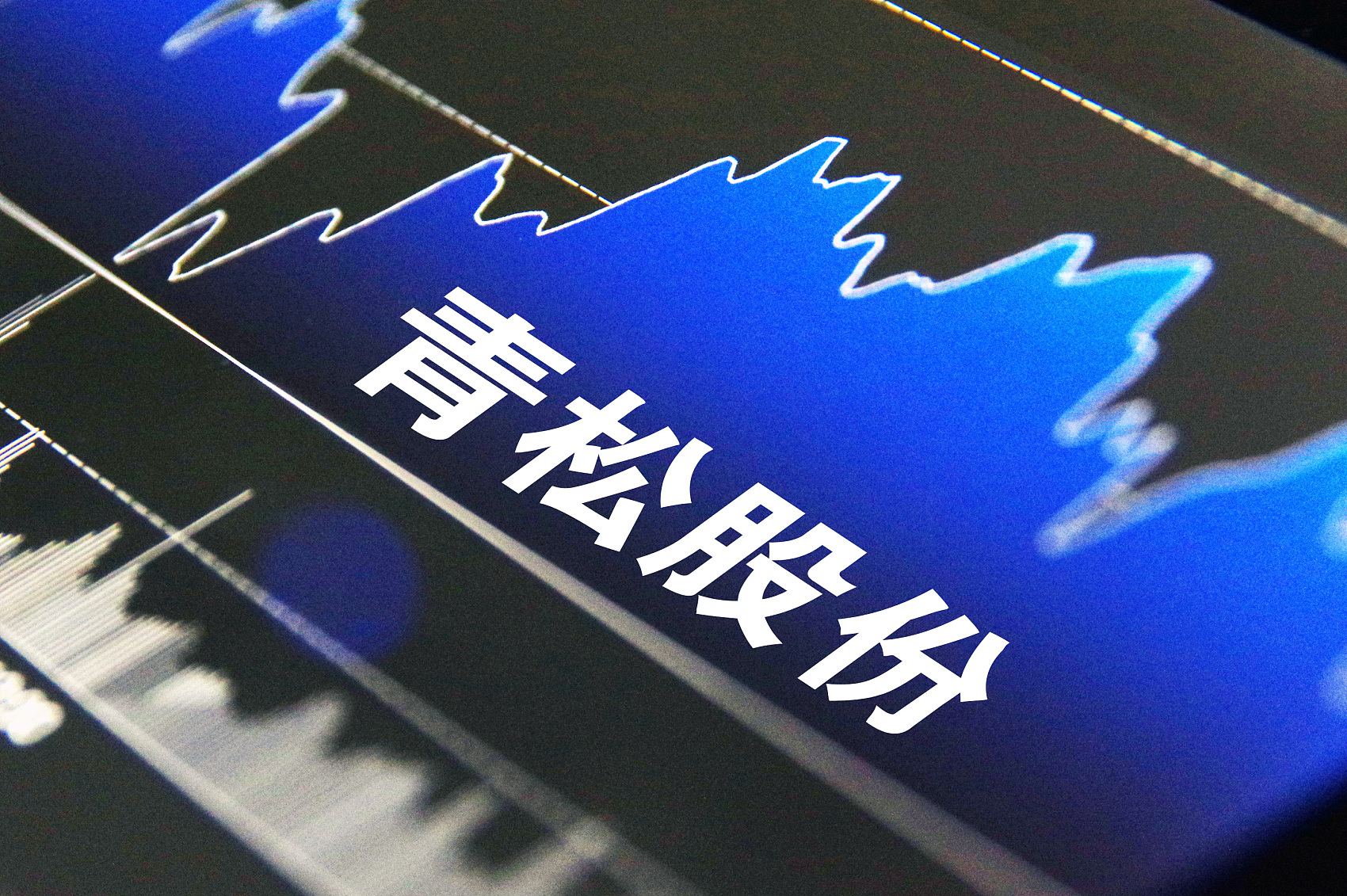 青松股份双主业遇阻面临上市首亏