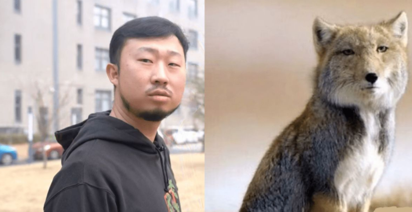 神似"藏狐"的张辰亮:吸粉超过1000万,他到底有什么样的魅力?