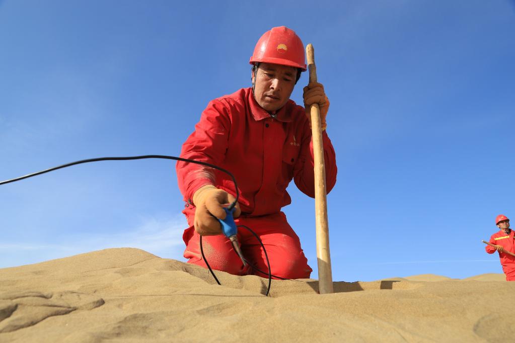 东方物探塔里木物探处247队工人在沙漠中放线作业.王健 摄