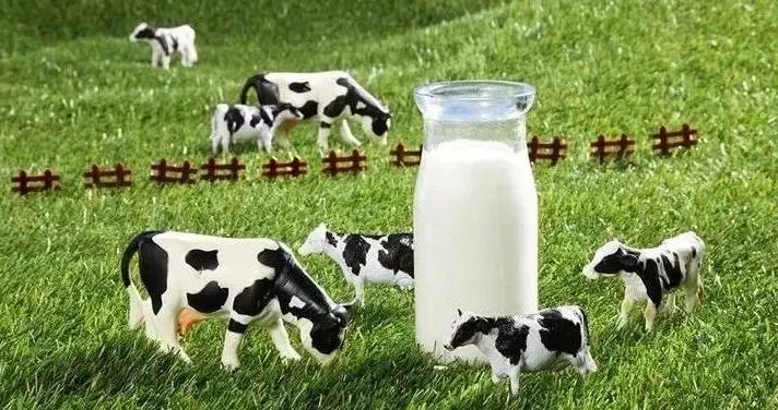 3家上市乳企相继预喜,中国乳业迎来春暖花开?|净利润|上市公司|奶粉|乳制品|贝因美_新浪新闻
