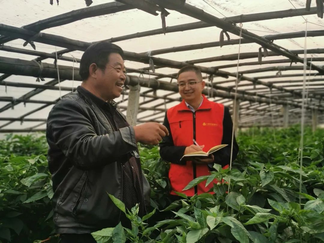 存贷款破400亿元！山东兰陵农商银行以开局精彩带动全年出彩休闲区蓝鸢梦想 - Www.slyday.coM