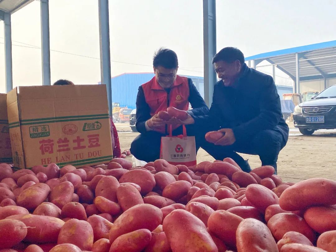 存贷款破400亿元！山东兰陵农商银行以开局精彩带动全年出彩休闲区蓝鸢梦想 - Www.slyday.coM