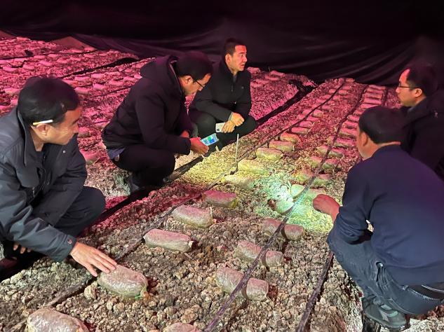 农业科技人员下基层开展抗寒防冻技术指导服务工作休闲区蓝鸢梦想 - Www.slyday.coM