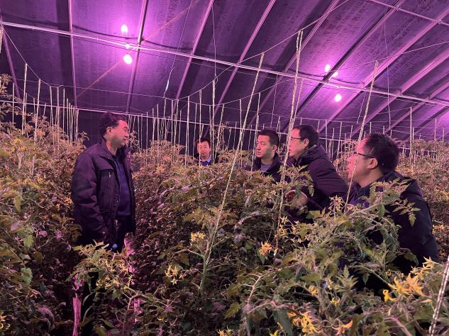 农业科技人员下基层开展抗寒防冻技术指导服务工作休闲区蓝鸢梦想 - Www.slyday.coM