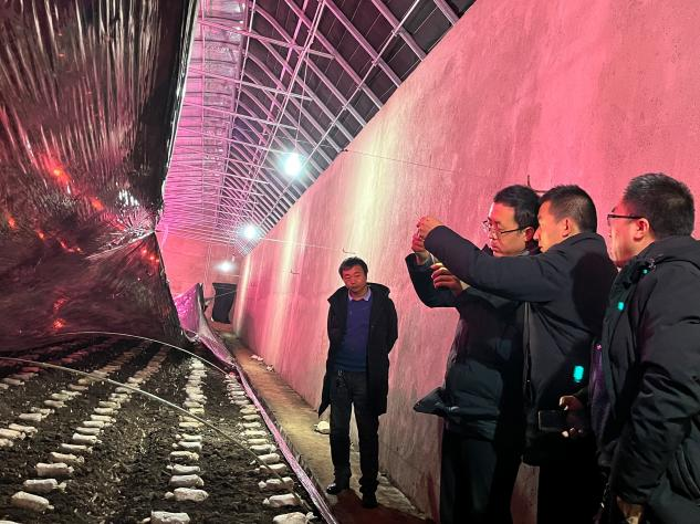 农业科技人员下基层开展抗寒防冻技术指导服务工作休闲区蓝鸢梦想 - Www.slyday.coM