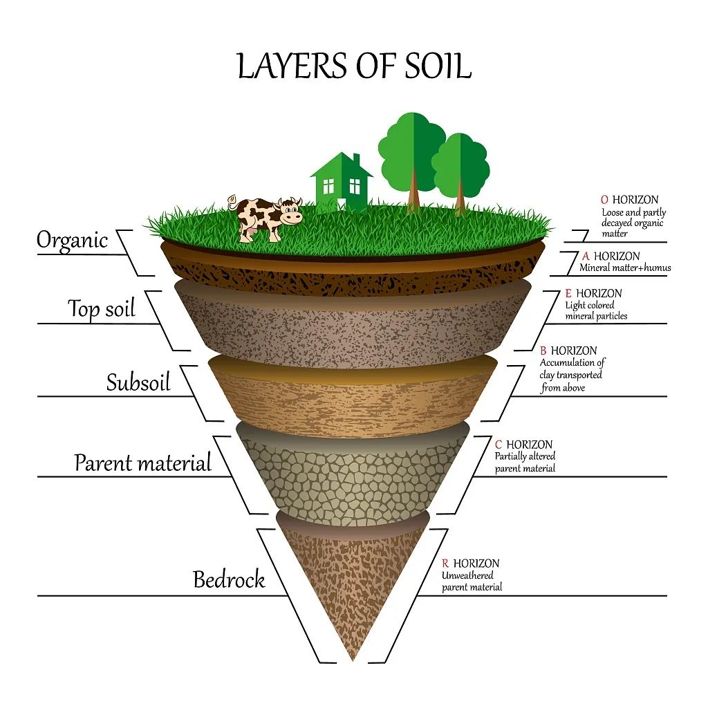 中国土壤分类及地带性分布、土壤腐殖质及其作用__财经头条