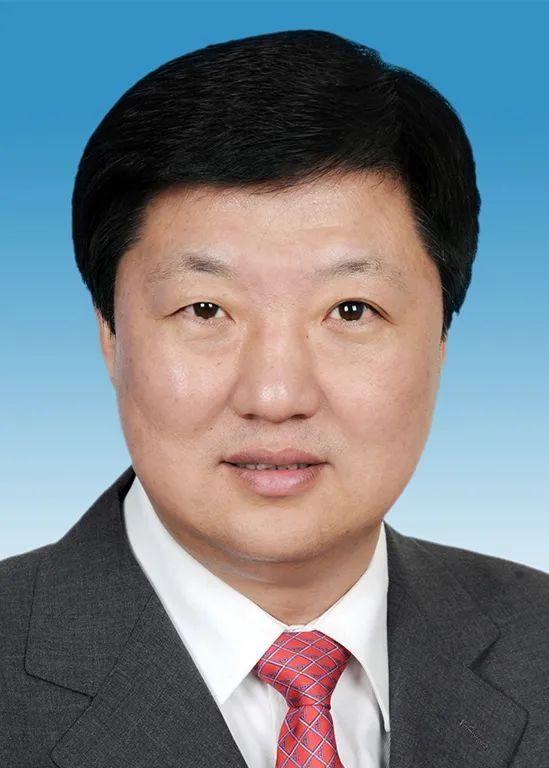 再打两"虎"|选举|黑龙江省|省委_新浪新闻