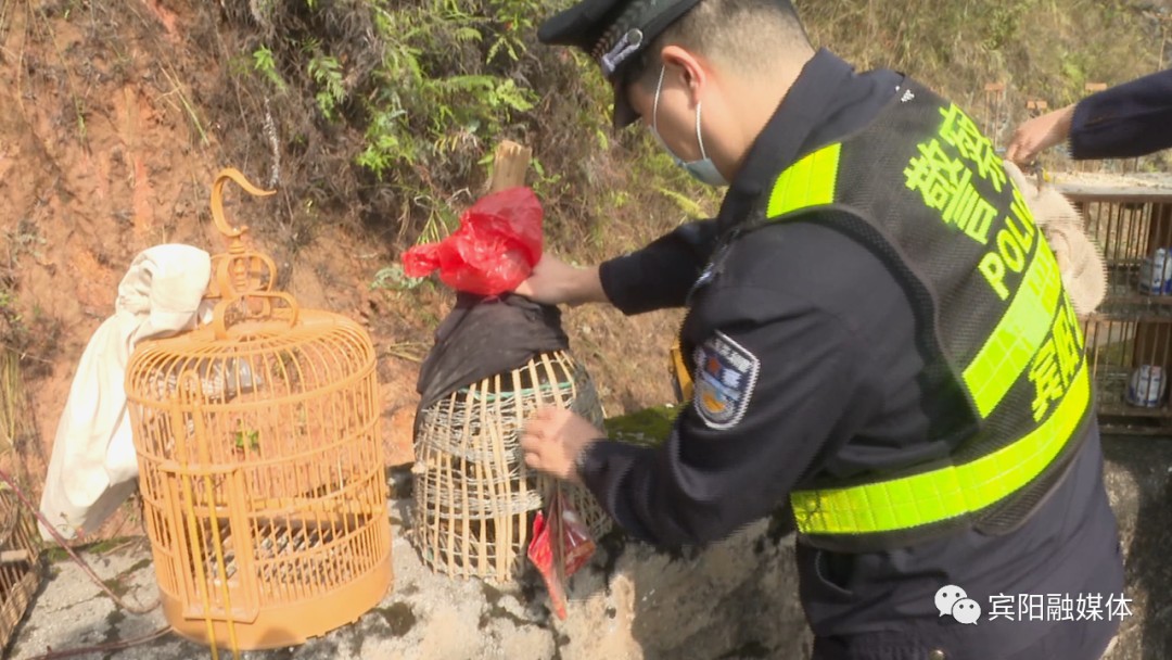 鸟儿不是你想抓就能抓的两人在宾阳非法猎捕画眉鸟结果