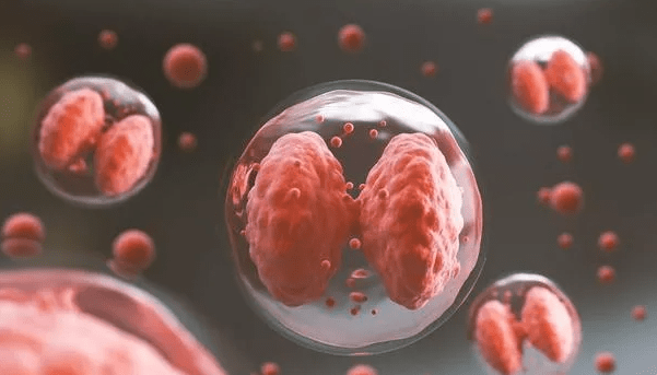 卵巢早衰闭经了北联世纪干细胞逆转更年期改善卵巢功能