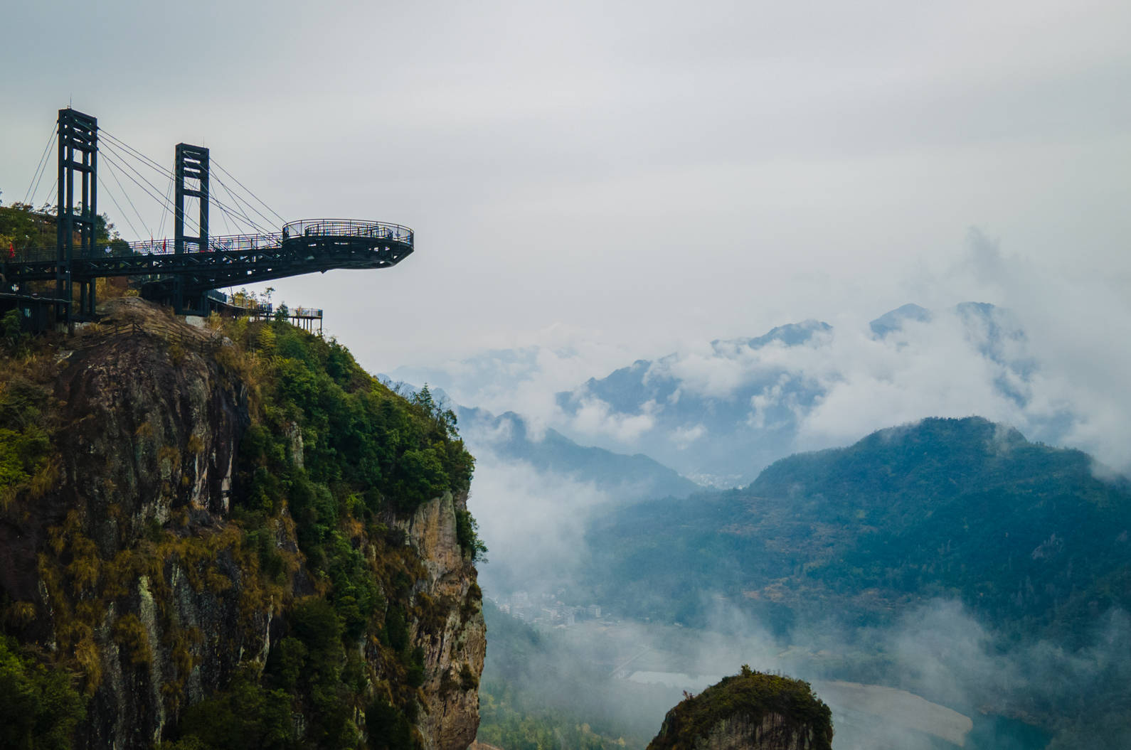 永嘉书院梅花已绽放,空谷传声花香书香,春节前后正当时|永嘉|永嘉书院