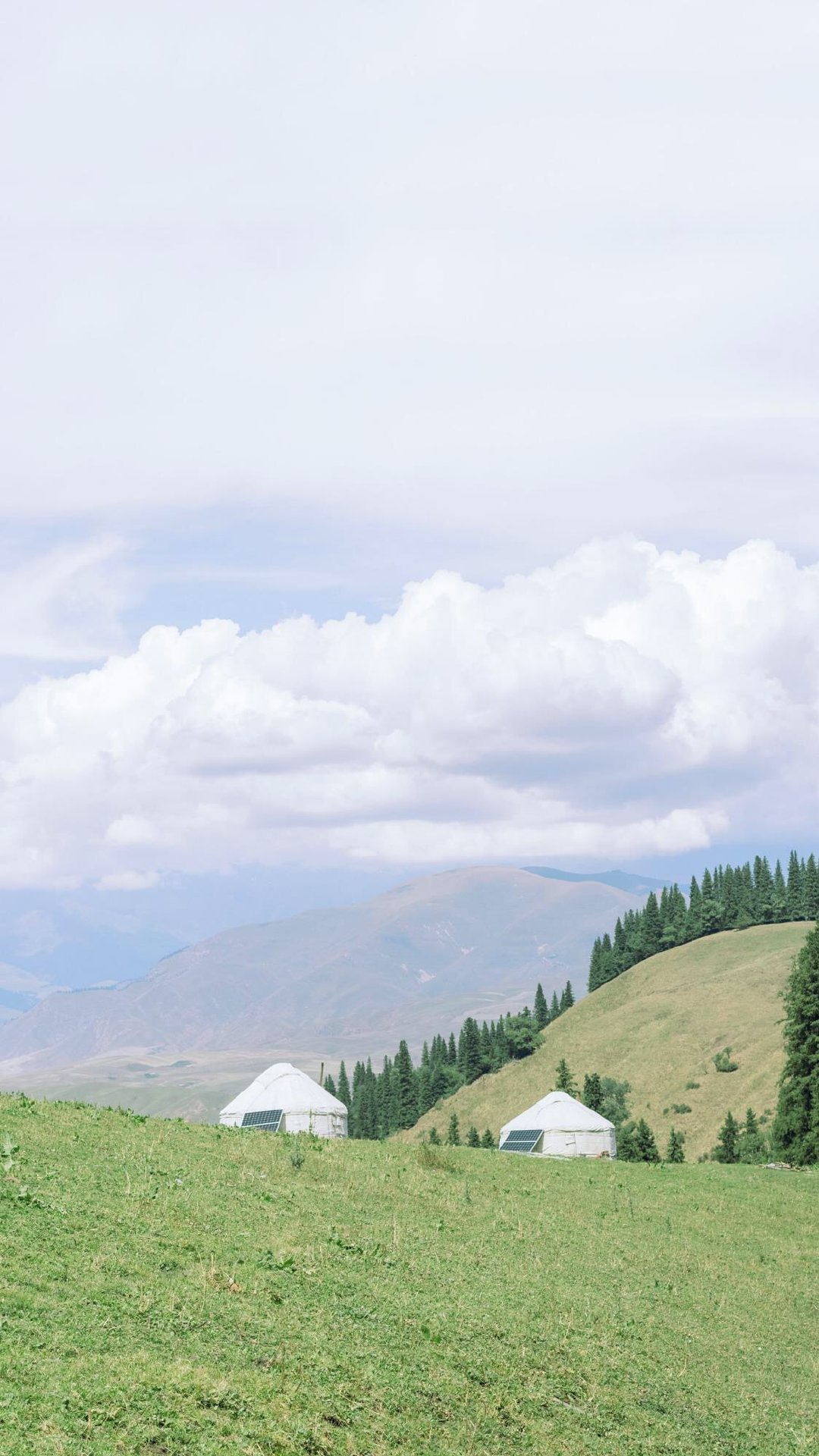 拿图点赞哦green让眼睛放松下吧ins壁纸头像