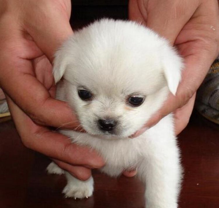 厕所洞里有双眼睛，女子吓得浑身发毛，查出真相后笑喷了休闲区蓝鸢梦想 - Www.slyday.coM