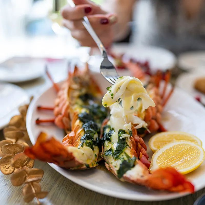 重磅！这个春节最适配的美食和快乐享受！还有更多超值优惠等你来发现！休闲区蓝鸢梦想 - Www.slyday.coM