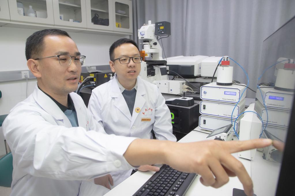 　　关俊宏（左）和杨靖（右）分析双光子共聚焦显微镜成像实验结果。新华社记者梁军摄