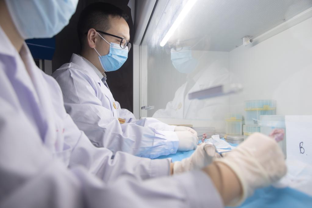 　　杨靖在实验室内进行动物解剖学实验。新华社记者梁军摄