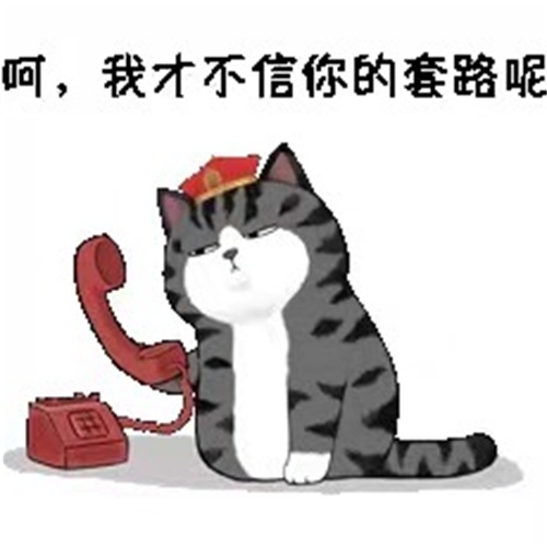 吾皇教你怼电诈电信诈骗受害者六成是90后00后上海警方制作反诈表情包