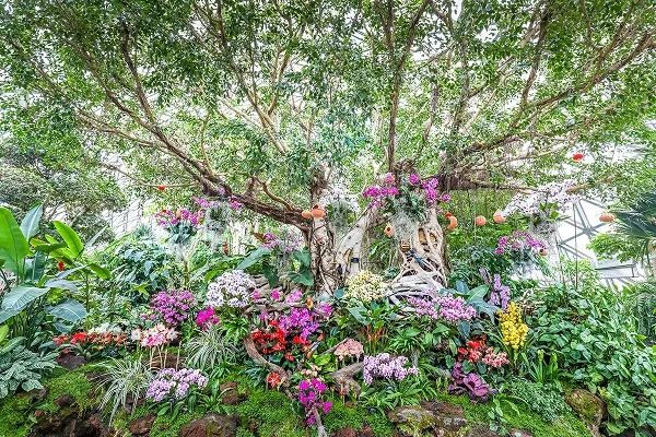 真的！上海今天下午开始下雪！首条市域铁路机场联络线定下“新年计划”休闲区蓝鸢梦想 - Www.slyday.coM
