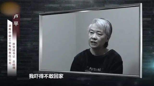 烟企女掌门为情人挪用上亿公款