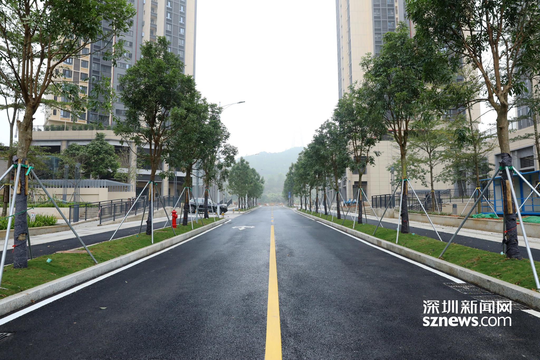 干路;皇新路长约149米,南北方向,红线宽17米,为双向两车道的城市支路