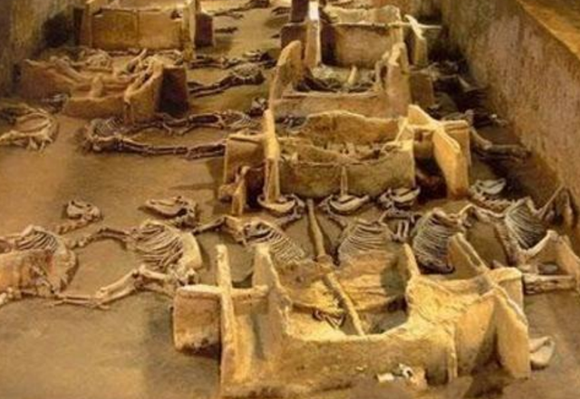 暴雨冲出金村周天子墓国宝流散成中国考古之殇