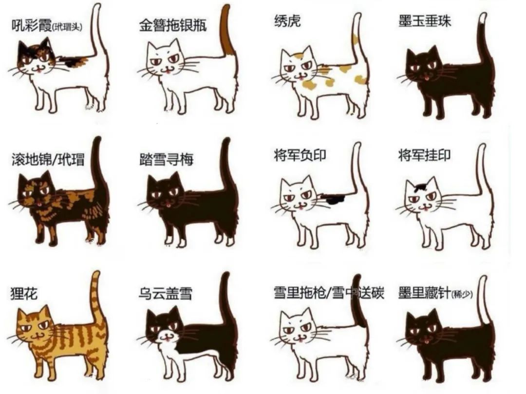 从"诗书画物"看喵星人如何驯服人类|猫_新浪财经_新浪网