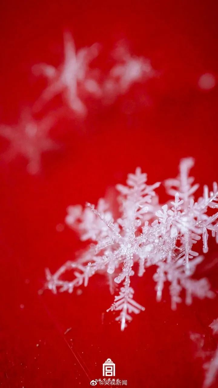 @所有人，上海这次真的要下雪了！就在……休闲区蓝鸢梦想 - Www.slyday.coM