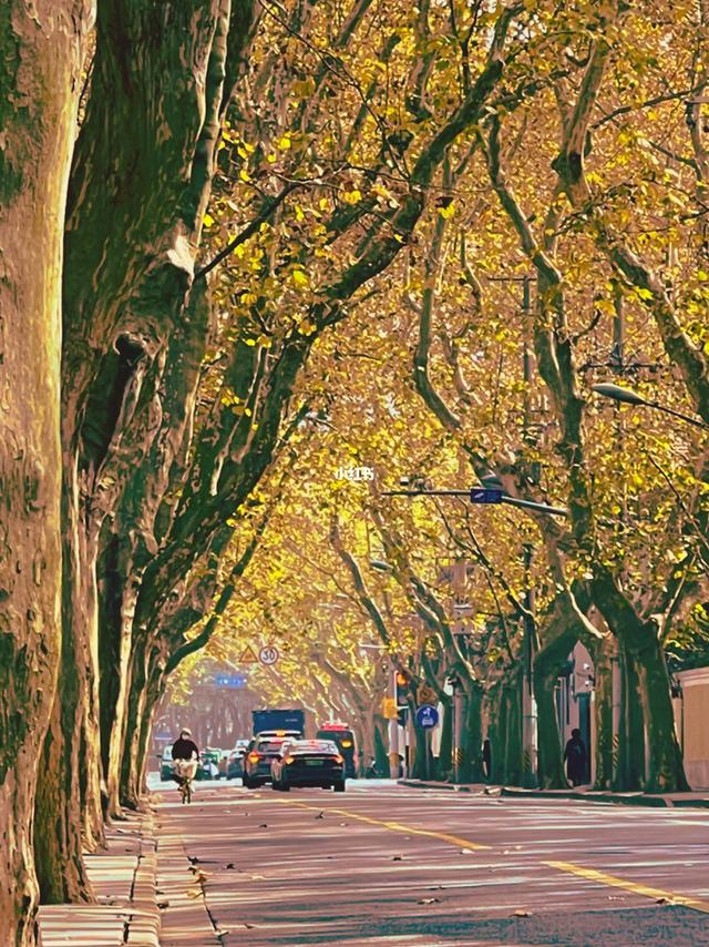 人海茫茫寻贼踪54年人民银行上海天平路储蓄所特大盗窃案侦破记