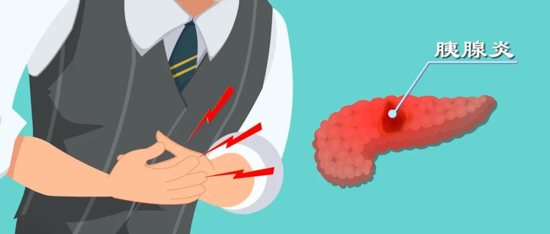 胰腺为啥发炎?致死腹痛背后真相是啥?胰腺炎发病机制动漫版!|急性胰腺炎|胰酶|胰液|胰管|腺泡_新浪新闻