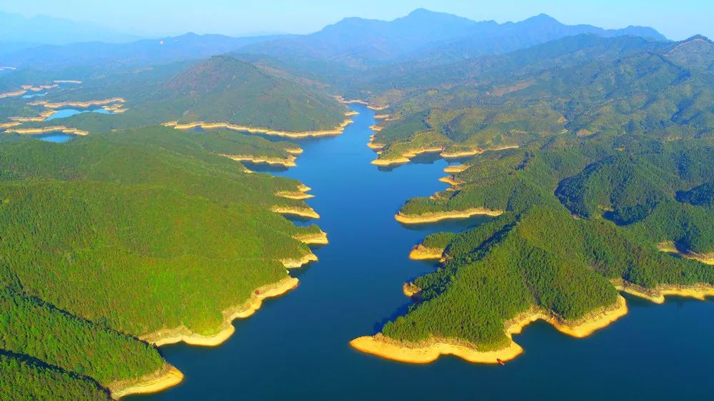 生态江西安福县明月山林场着力推进康养旅游产业发展
