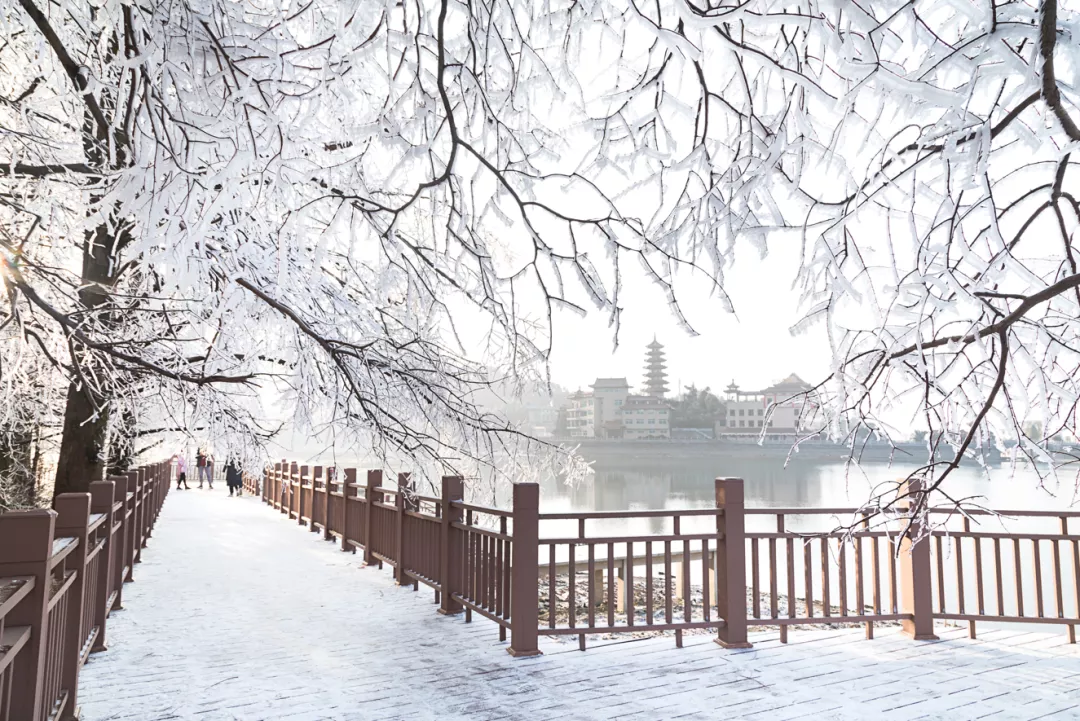 下雪啦!|九宫山滑雪场|九宫山|雪景_新浪新闻