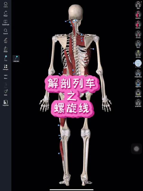 解剖列车之螺旋线